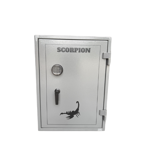 Heavy Duty Ammo 900 Safe